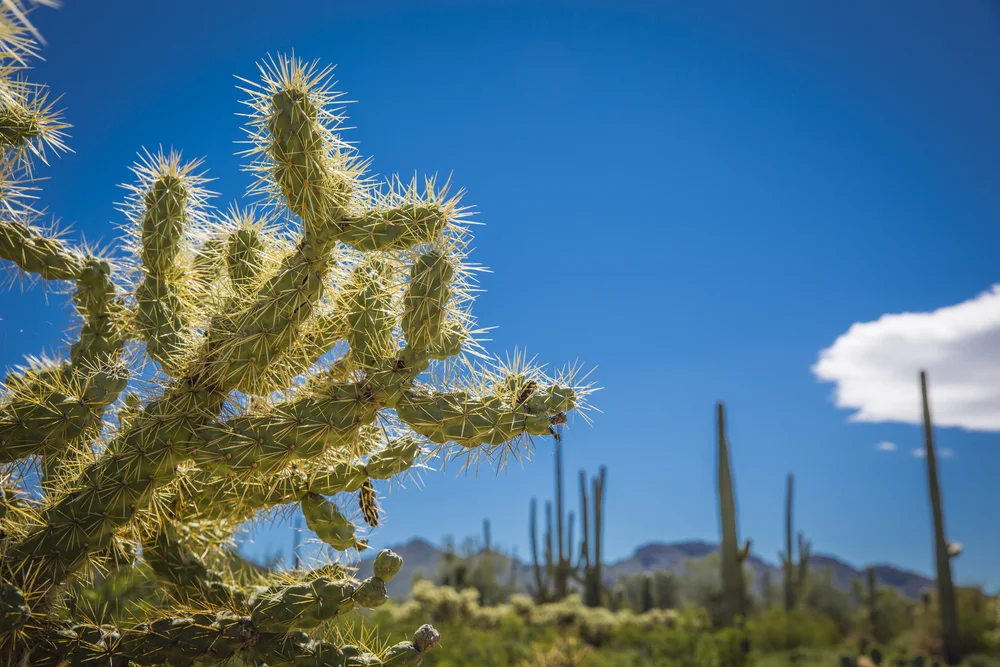 2019 Spring Break-123.JPG