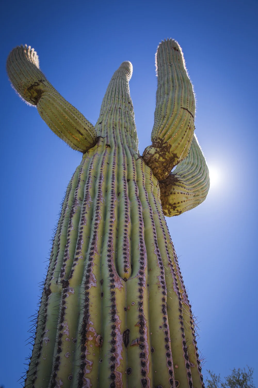 2019 Spring Break-125.JPG