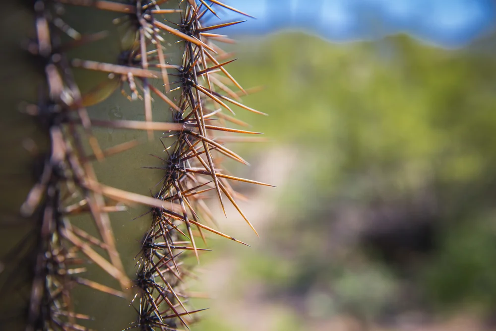 2019 Spring Break-127.JPG