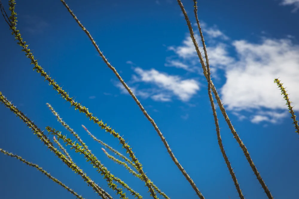 2019 Spring Break-136.JPG