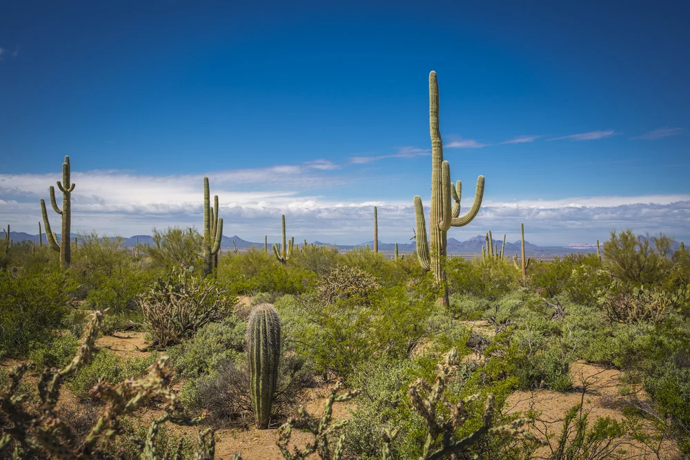 2019 Spring Break-134.JPG