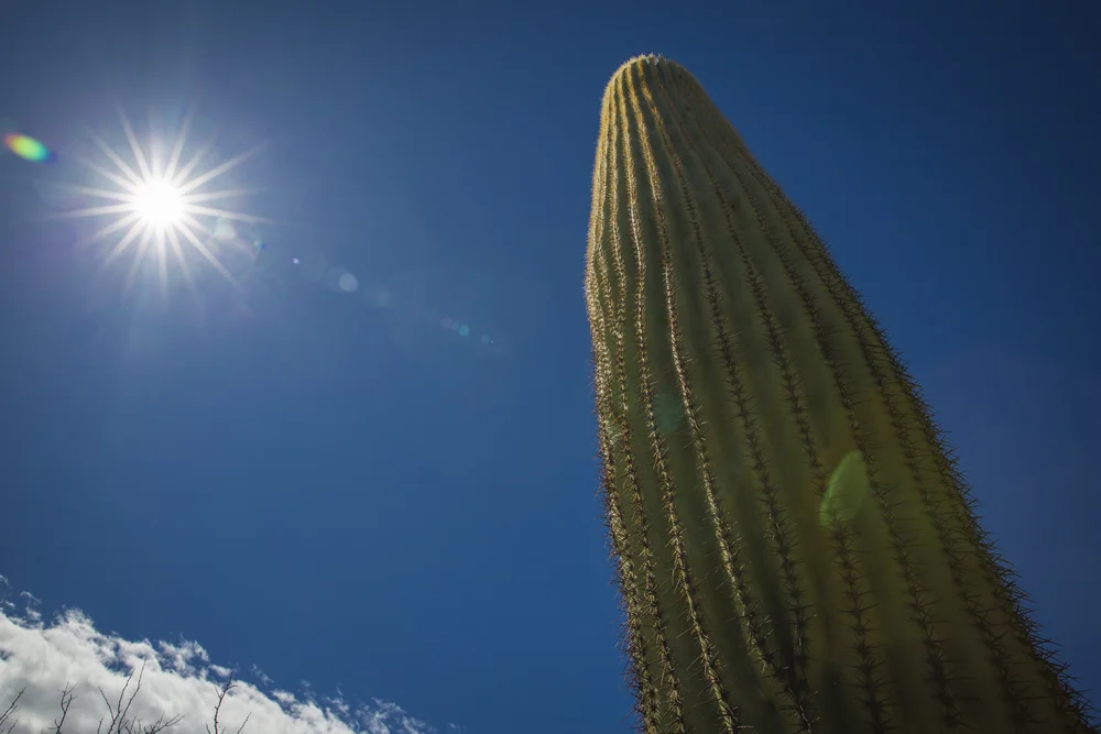 2019 Spring Break-138.JPG