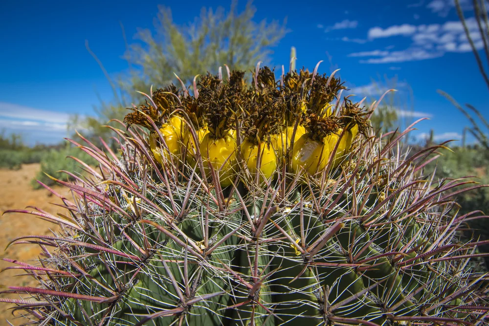 2019 Spring Break-139.JPG