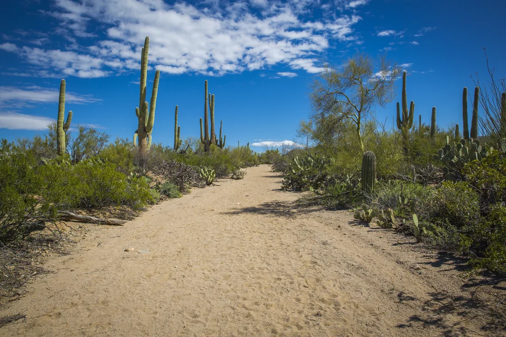 2019 Spring Break-141.JPG