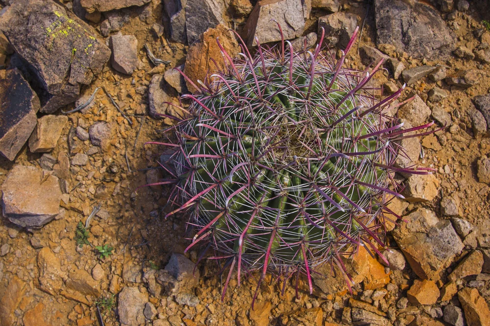 2019 Spring Break-151.JPG