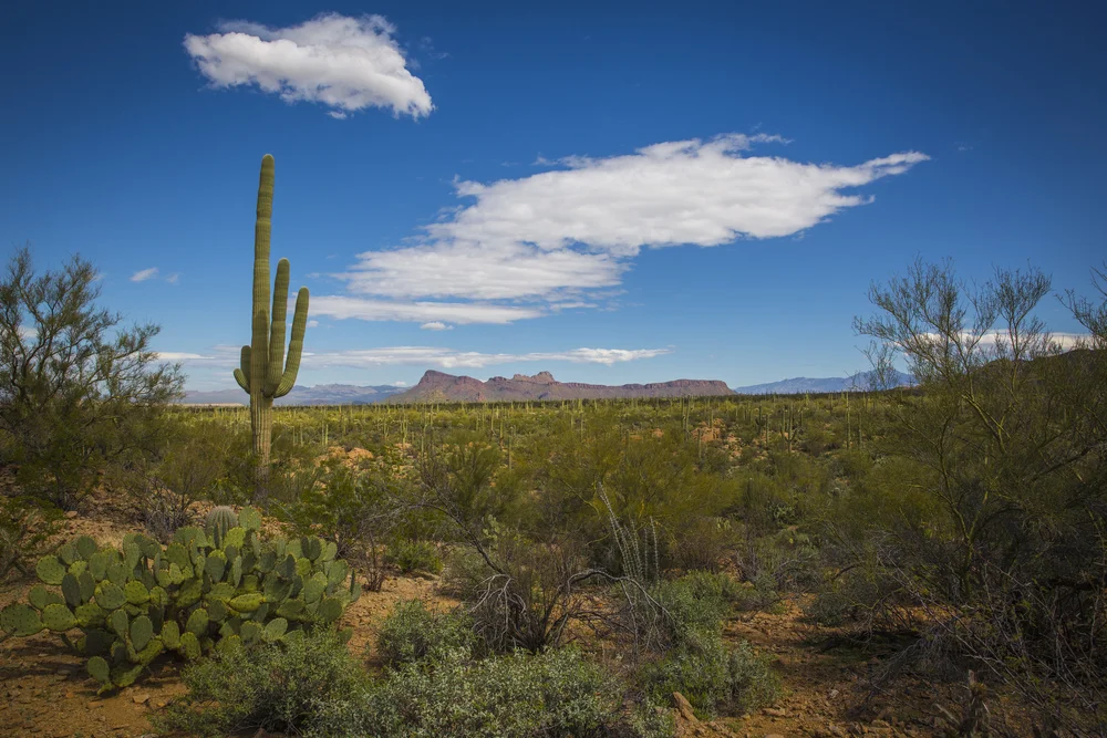 2019 Spring Break-152.JPG