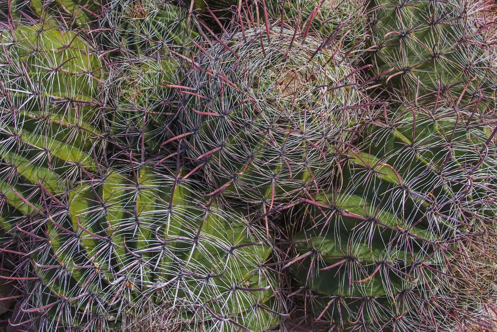 2019 Spring Break-153.JPG