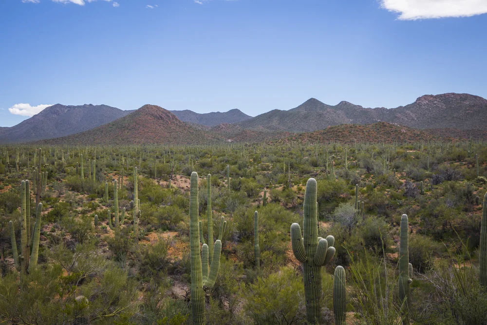 2019 Spring Break-159.JPG