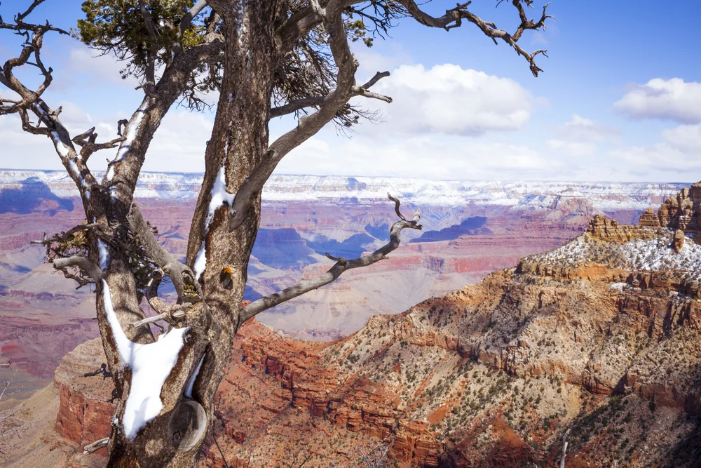 2019 Spring Break-199.JPG