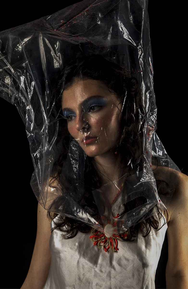 Ann Van Epps, Portrait VIII