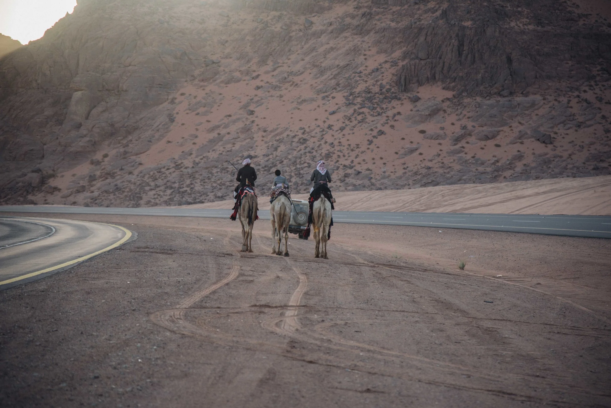 Dall_camels and boys (1).jpg