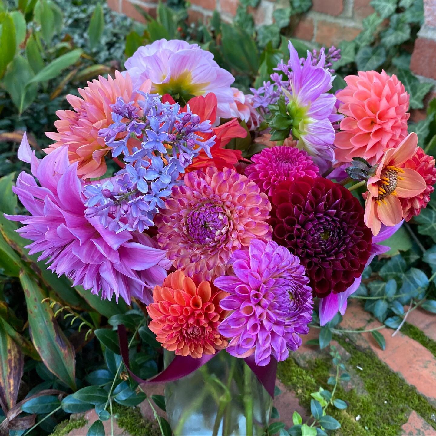 Inexplicably, my mother&rsquo;s ancient lilacs are re-blooming at the moment. Sooo it&rsquo;s dahlias and lilacs in the same vase this week! 🤪 Enjoy it, friends! That incomparable perfume paired with wood smoke and an undeniably autumnal chill is a 