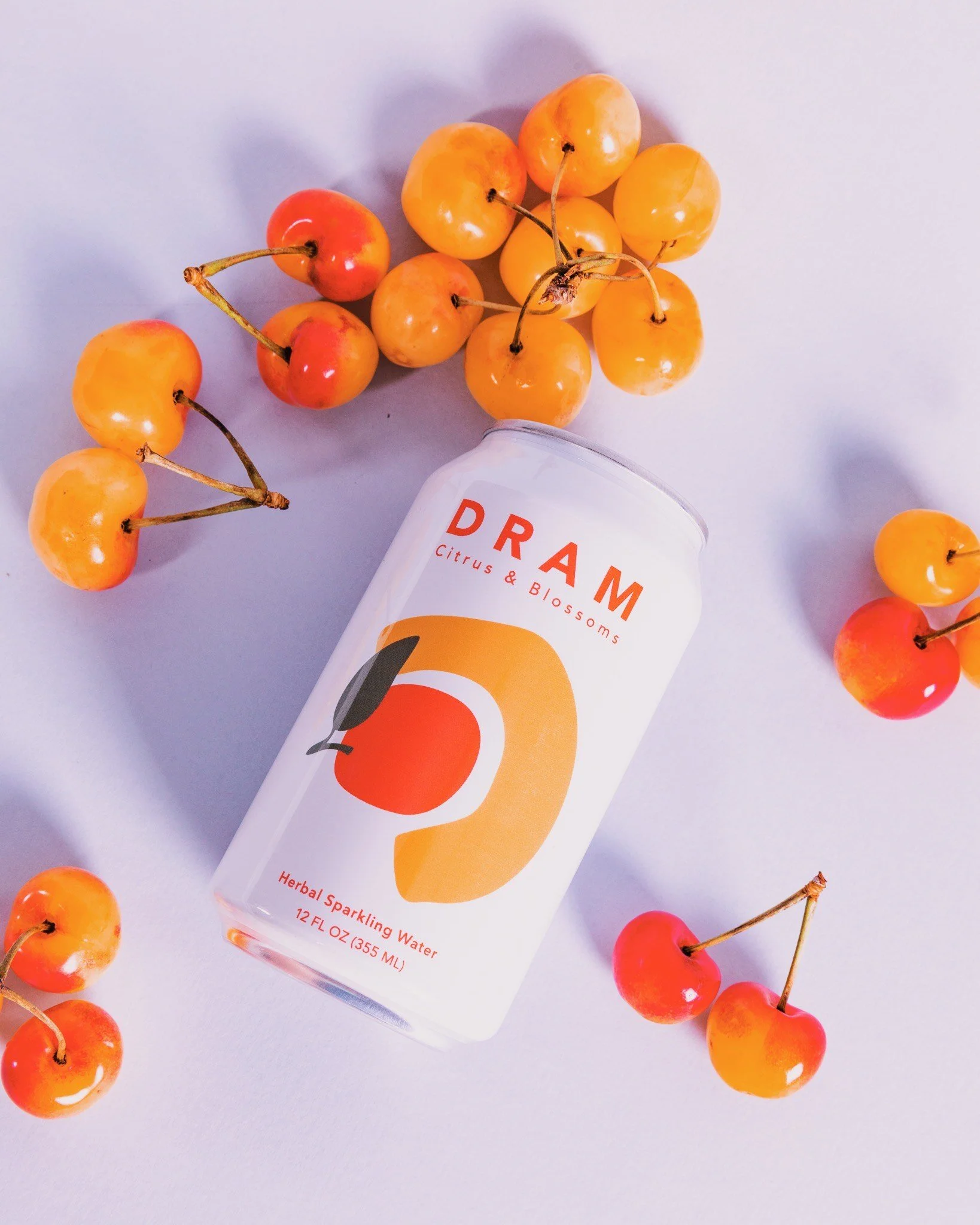 image_6483441 (3).JPG