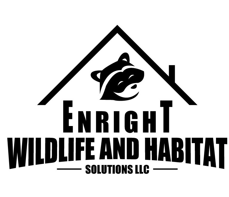 Enright Wildlife and Habitat Solutions