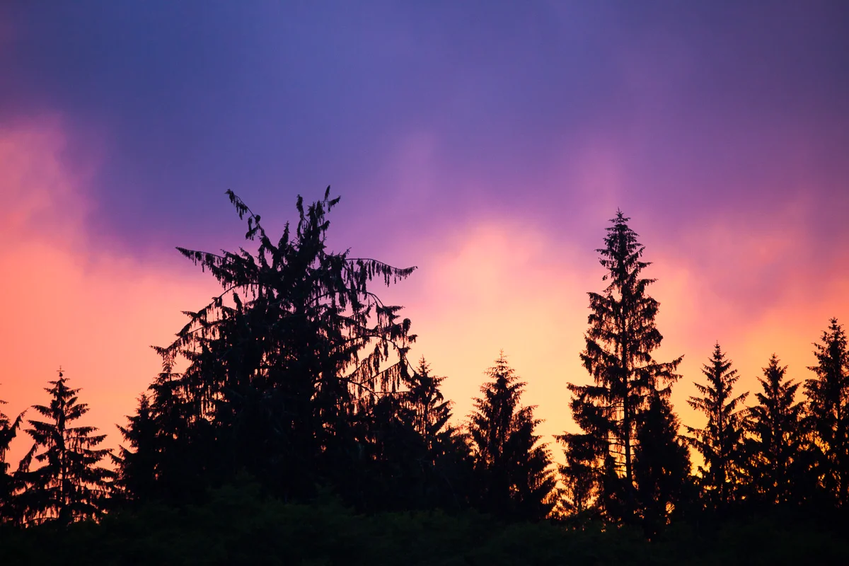 Sunset-Port-Renfrew-Marina-2.jpg