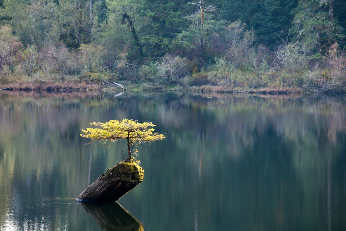 Port-Renfrew-October-2015-8.jpg