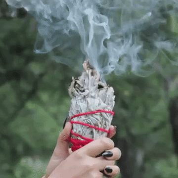sage.gif