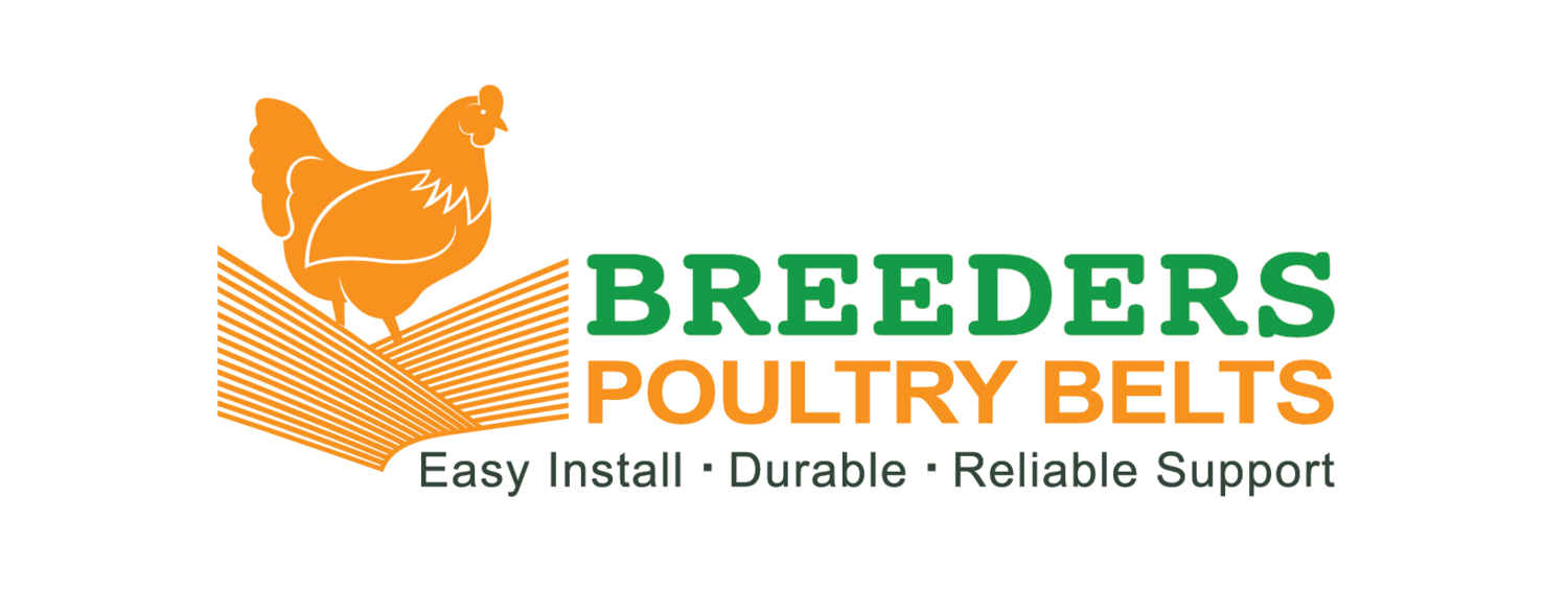 Breeders Poultry Belts - Egg Belts