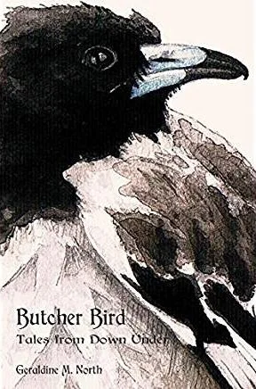 Illustration of a butcher bird with black and brown feathers, sharp beak, and striking eye, from the book 'Butcher Bird: Tales from Down Under' by Geraldine M. North.