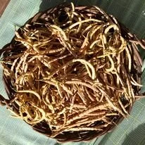 mesquite beans whole.jpg
