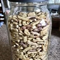 mesquite broke pods.jpg