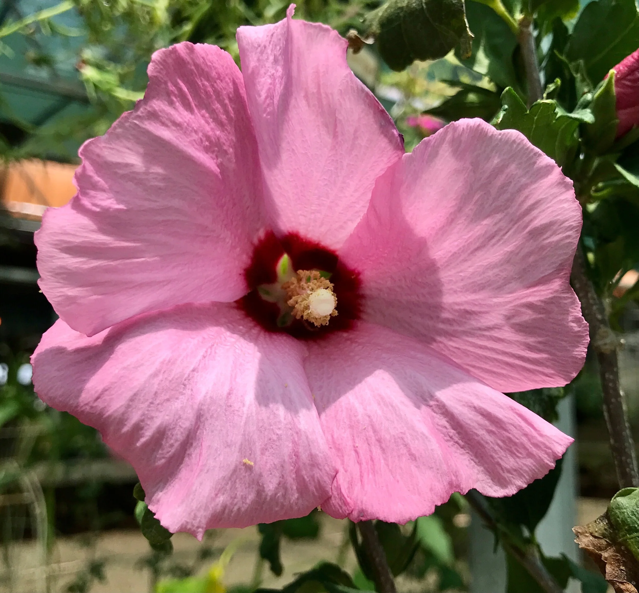 E6AA285A-A8FB-441E-A2F8-9739D98C8D86