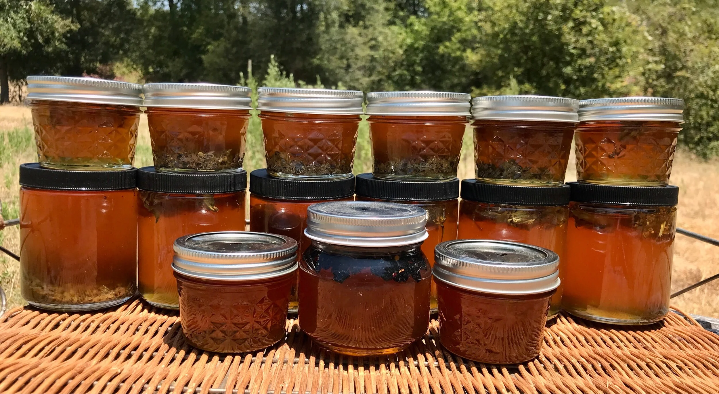 B44A2CAF-F1DC-4944-8E5B-50D9F9856E19