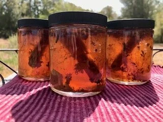 6E6D1A73-BD42-4F48-9F97-CE8DD41C7247