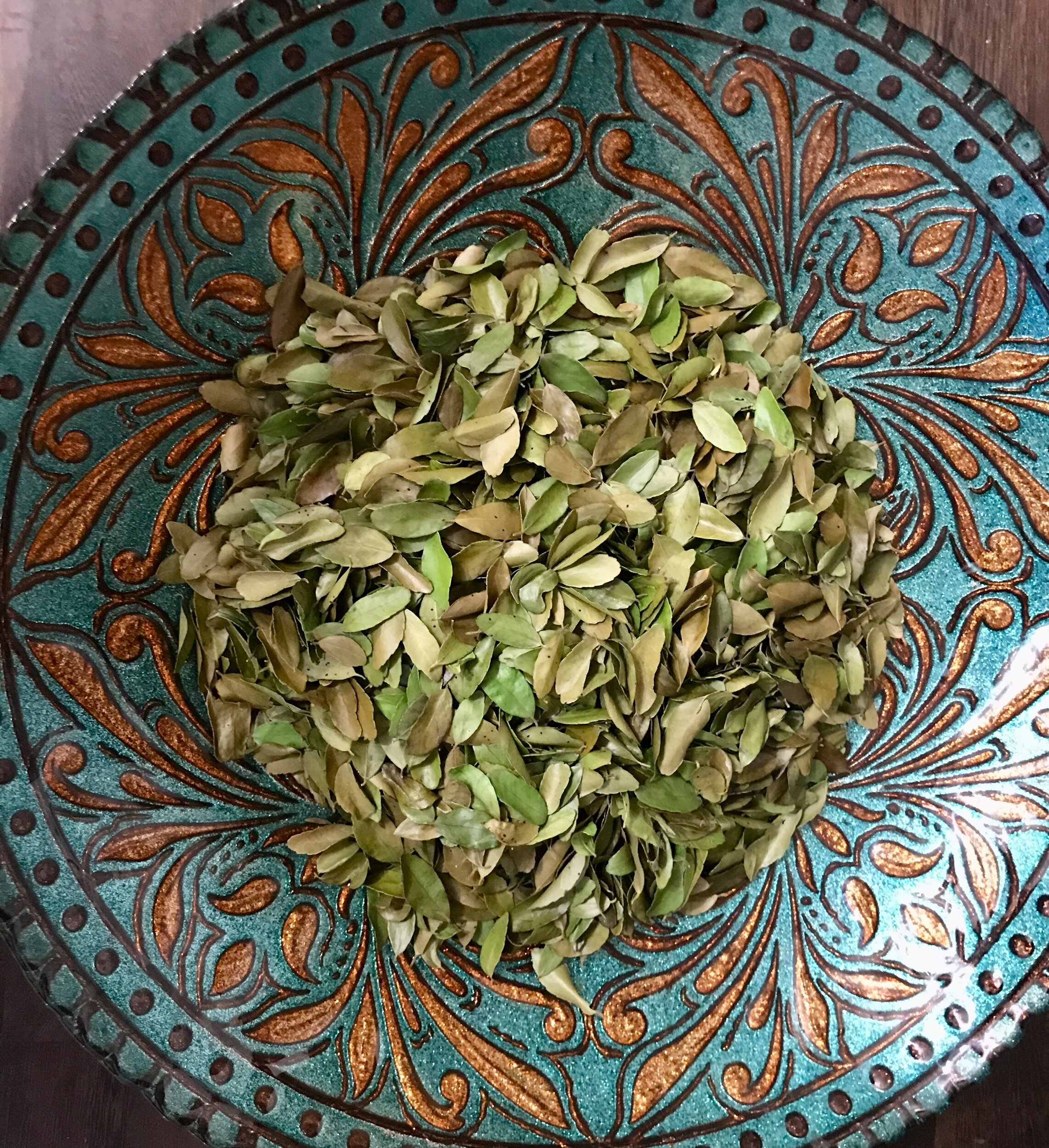 14C5AFAD-7674-401C-92C9-D5621DE3499C