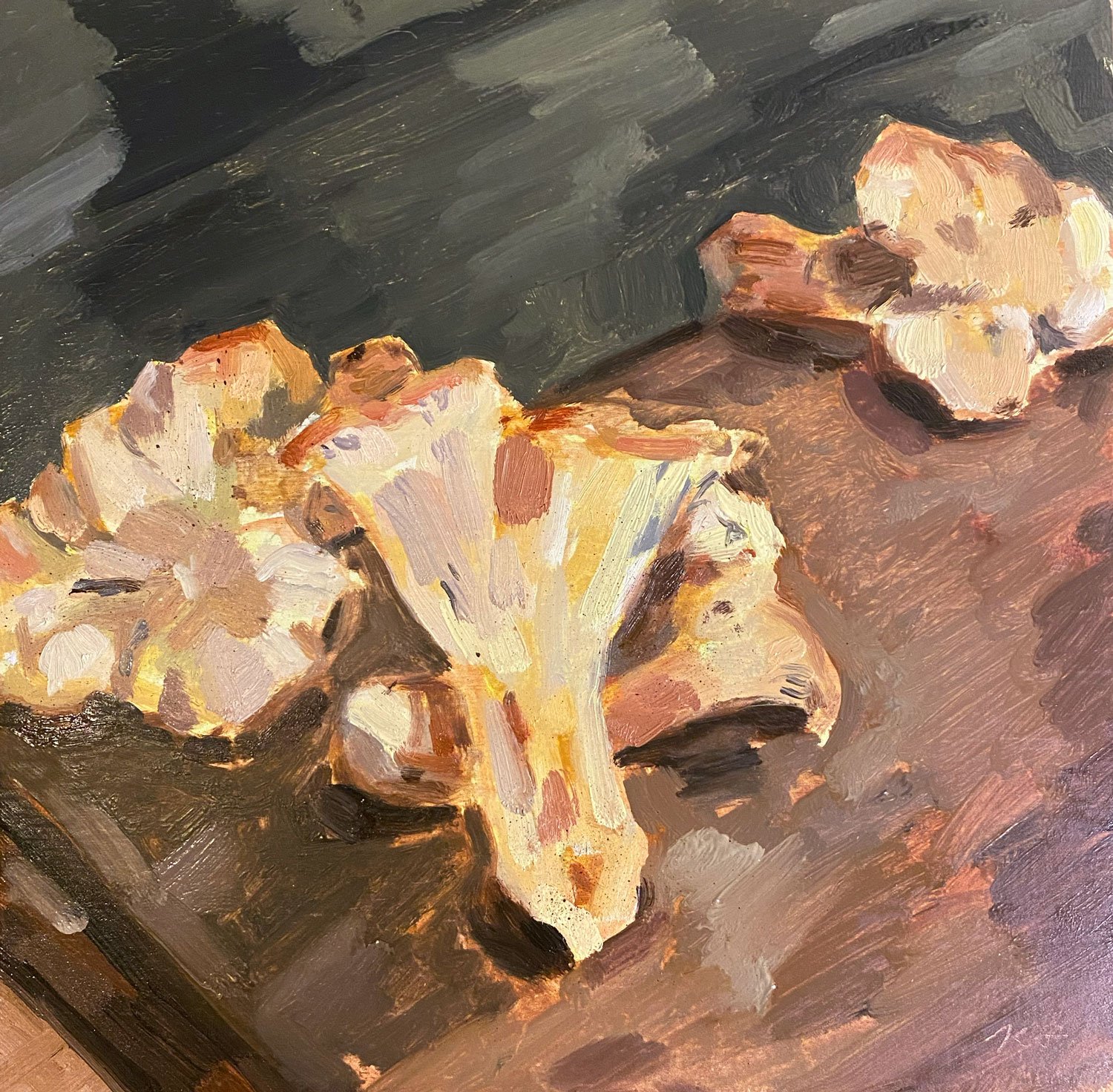 White Chanterelle Study