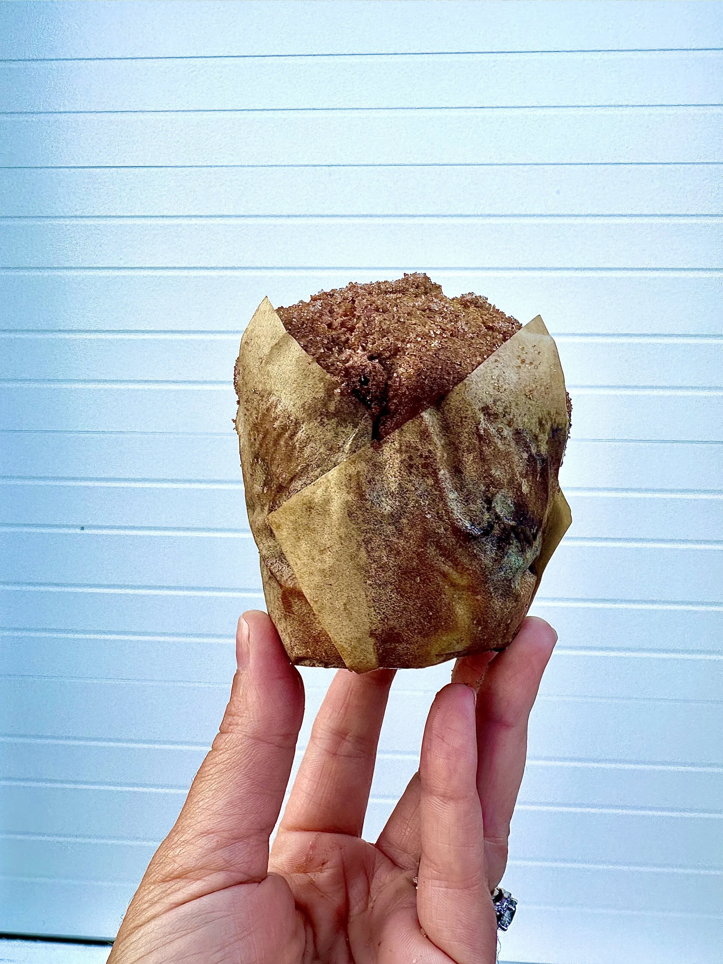 7_22_2023, 9_01_17 AM.jpeg