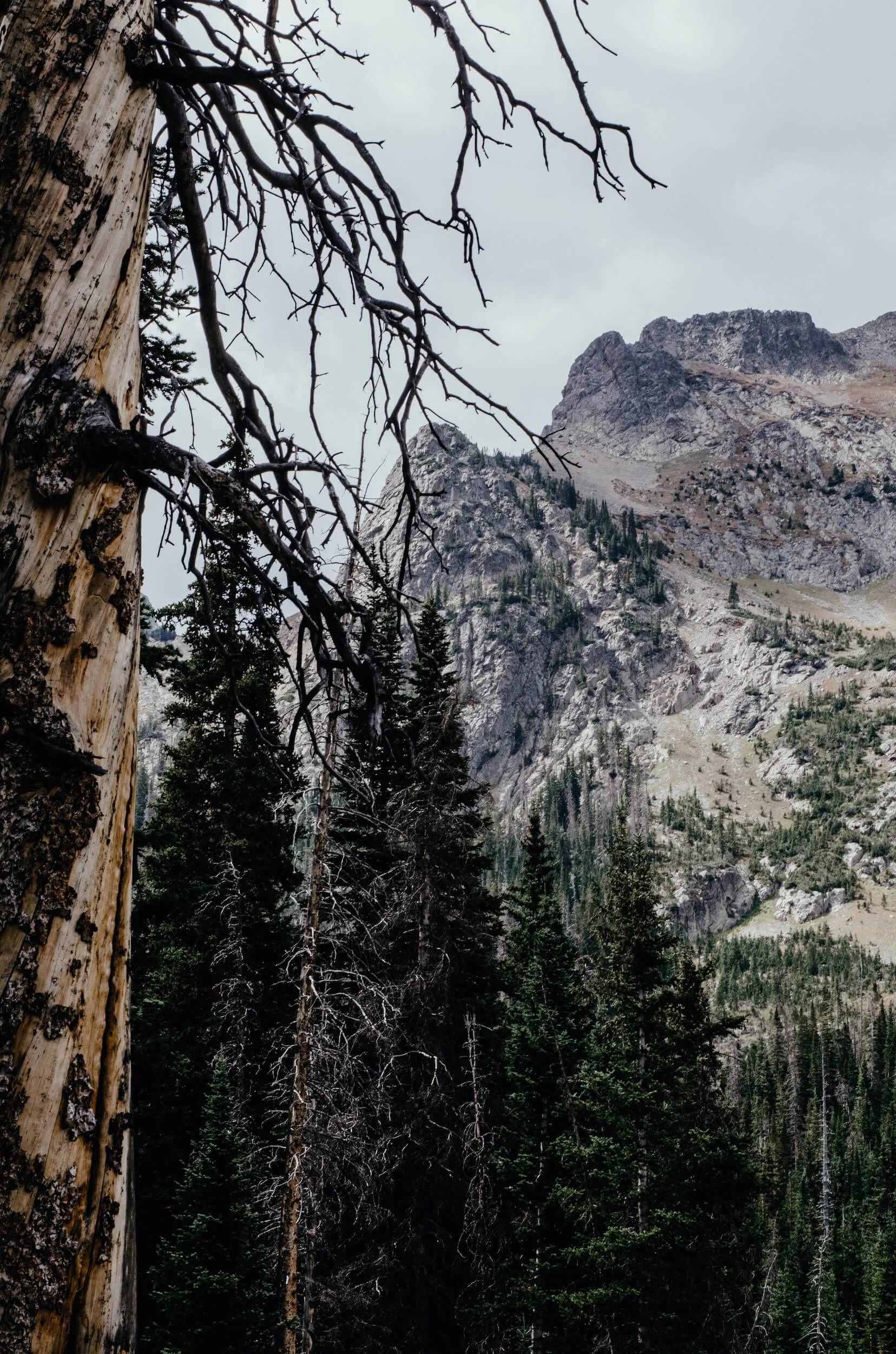 Nohku Crags near Cameron Pass in Northern Colorado