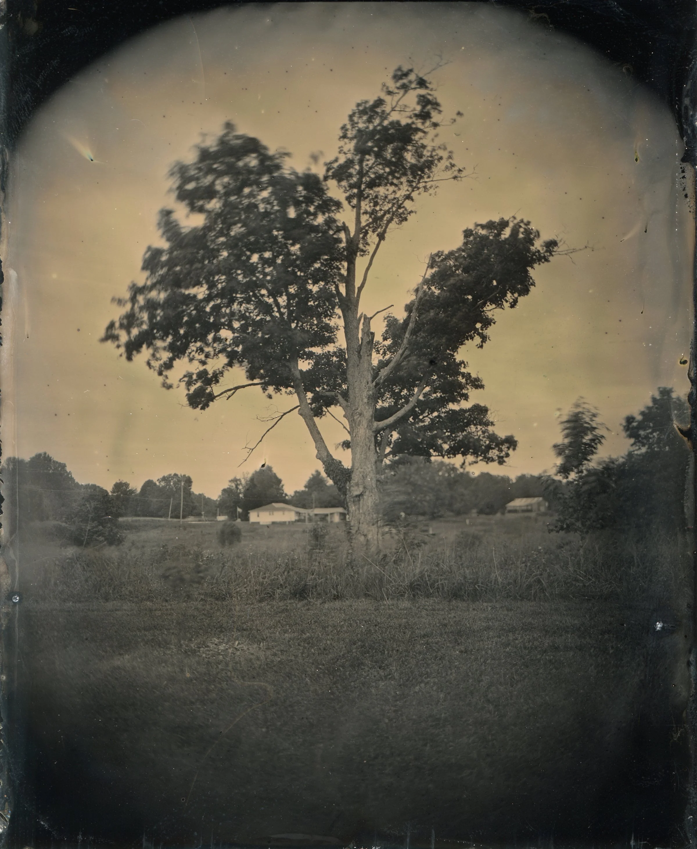 tintypes_May_2025-4 copy.jpg