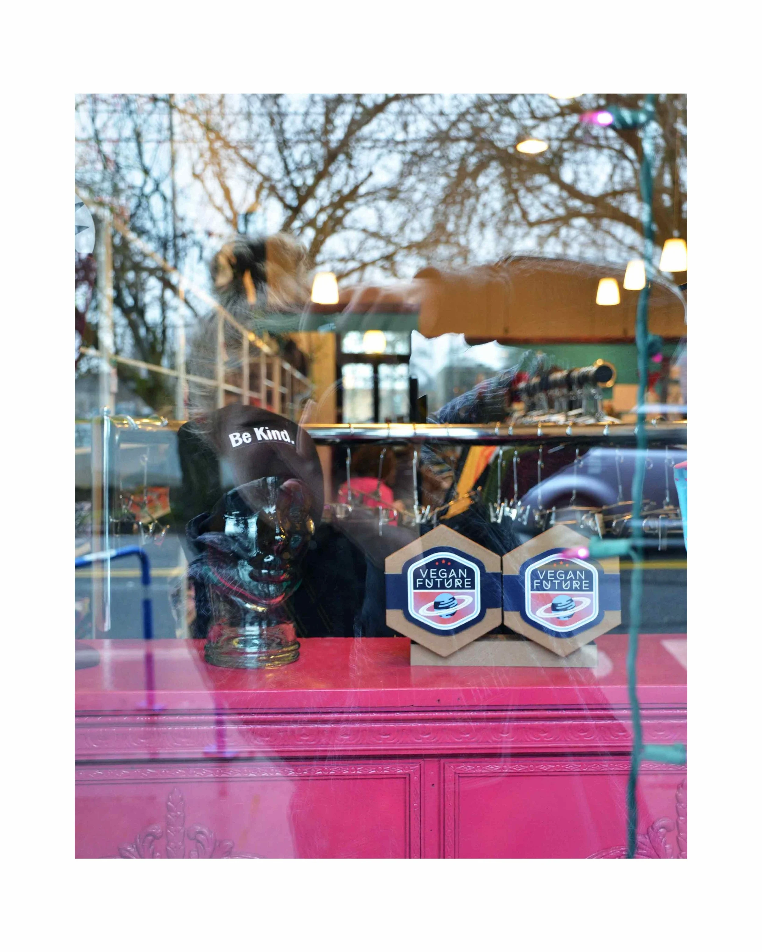 Herbivore_Window2_Small.jpg