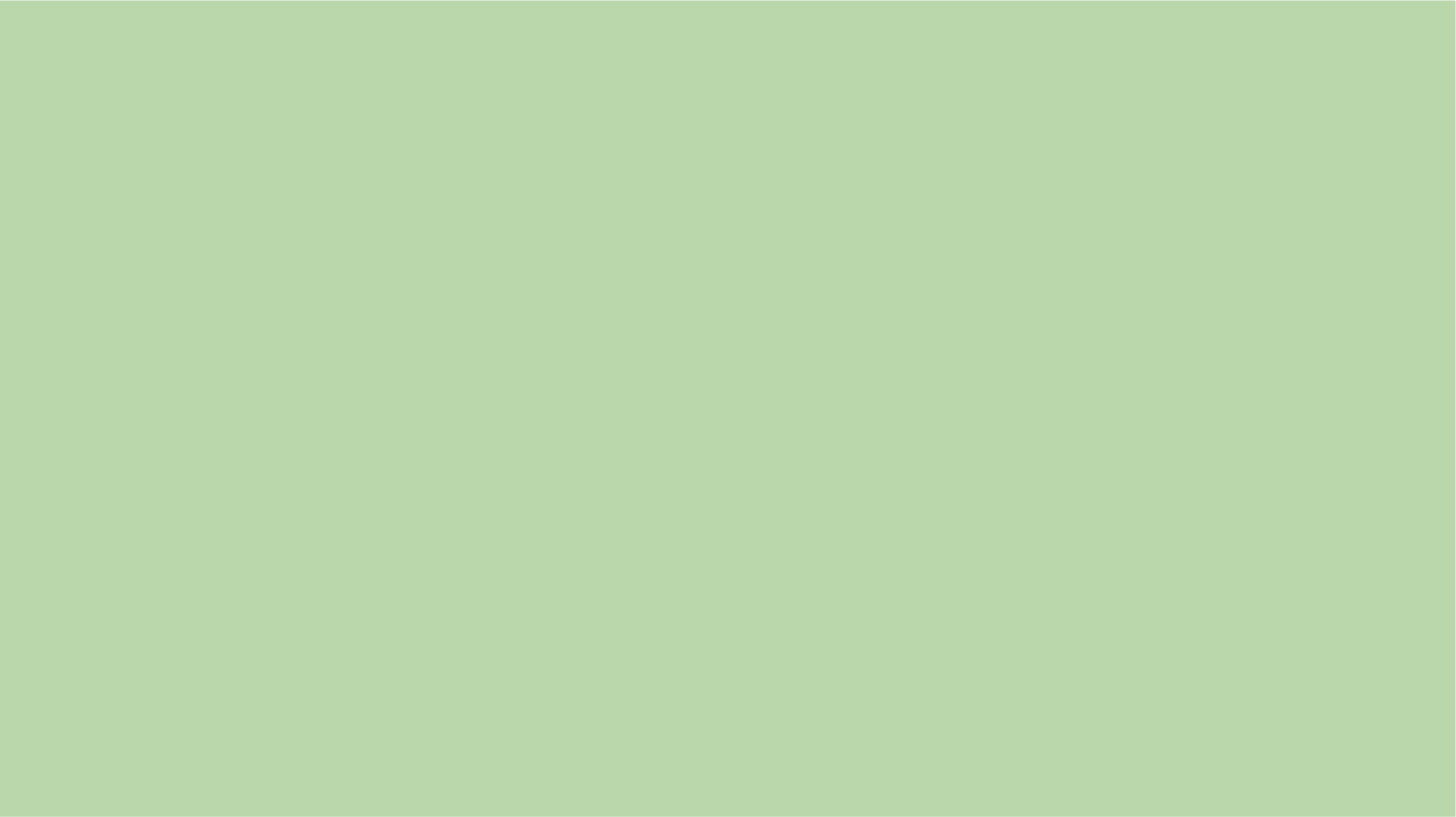 Green Background 3.png