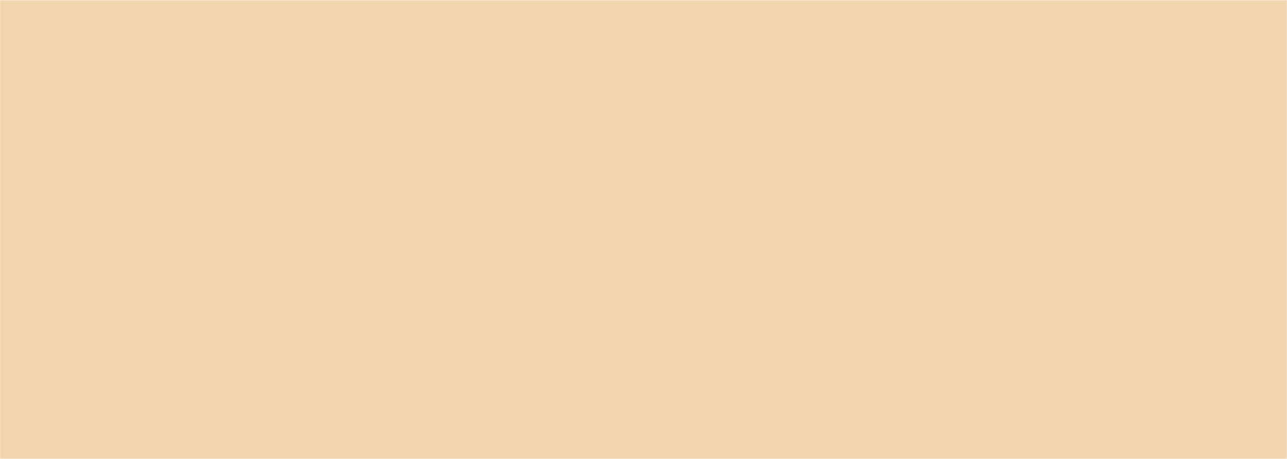 Orange Lighter.png