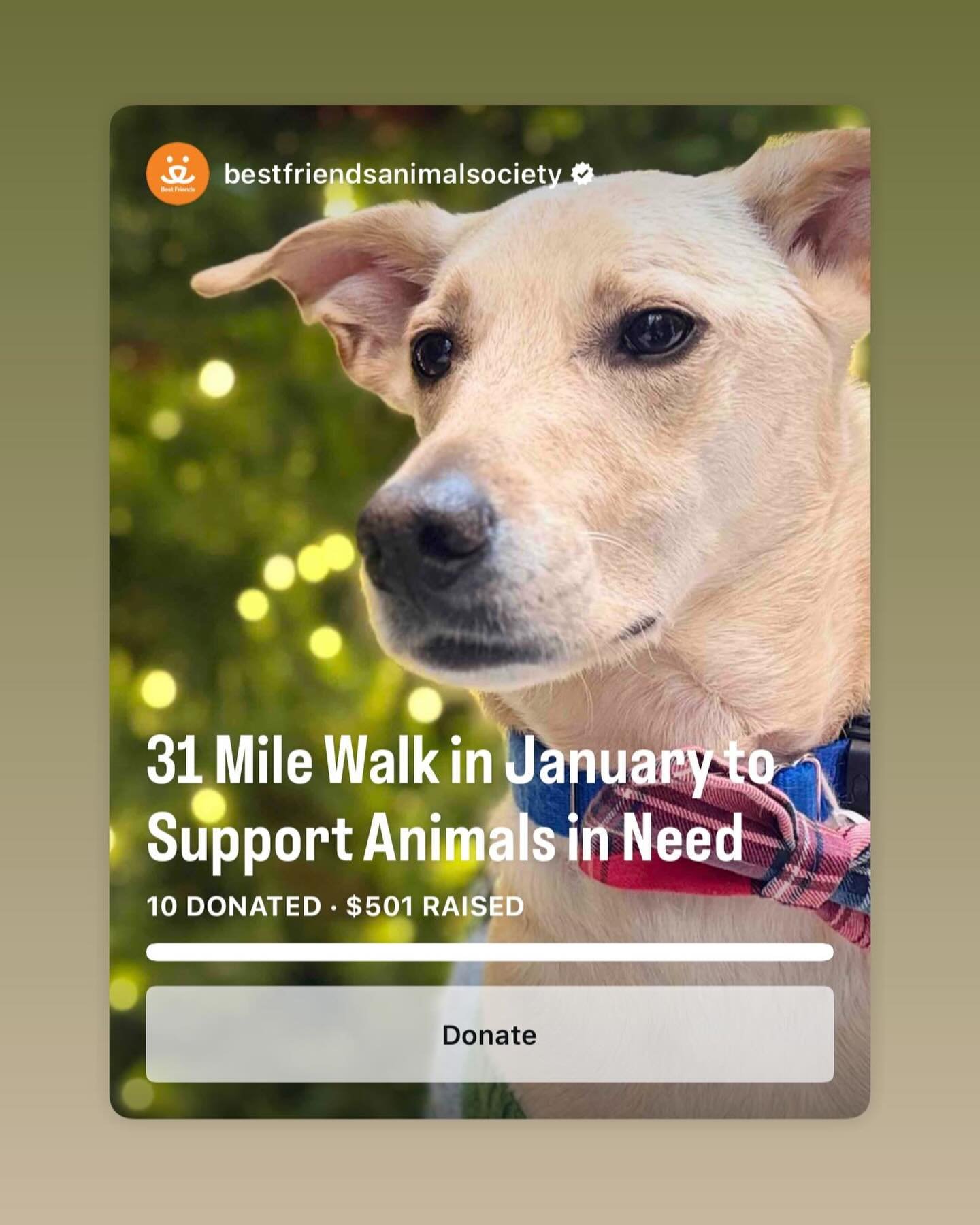 Hi Frens! I am glad you are here!

My name is Hari and I am a certified good pupper. I live in the best city in the whole world, New York. I love car rides, park, puzzles, and all my aunts. Before my humom found me, I was a little pupper at Humane So