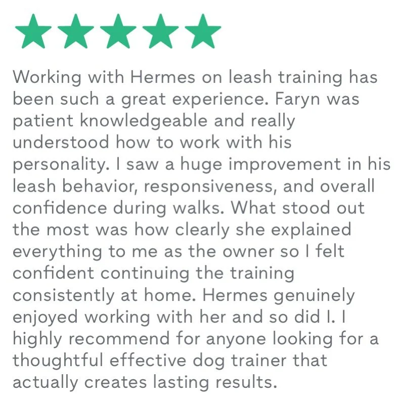 Thank you @iwokeuplikethis2024 for the amazing review! Hermes was a great student 💗🐶