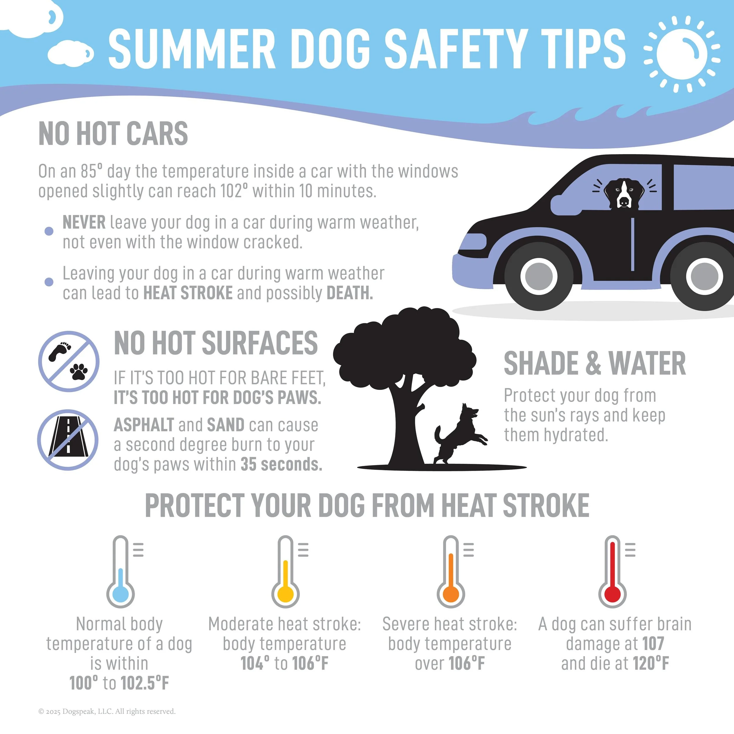 Summer Dog Safety Tips! #dogspeak #dogspeaknj #dogtraining #dogtrainingnj