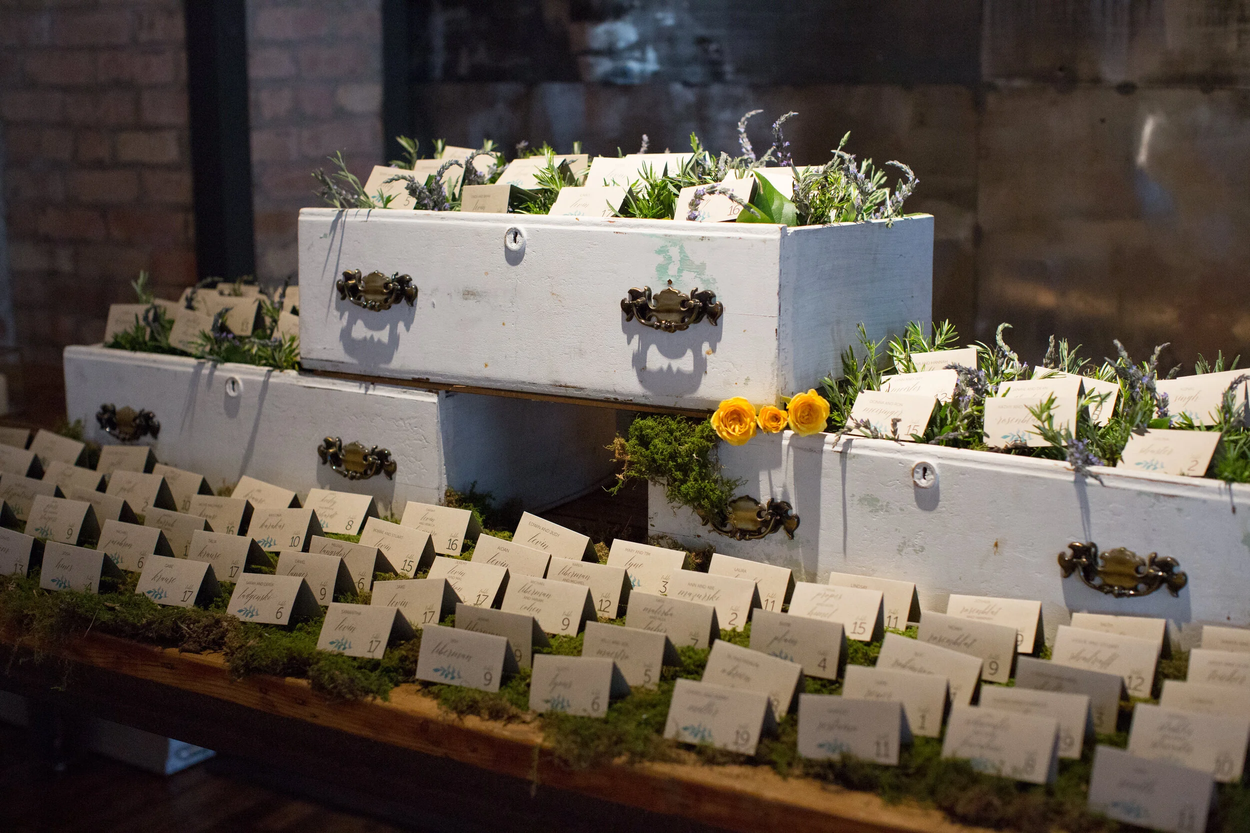 naomiepsteinphotography_EZ (435 of 1045).jpg