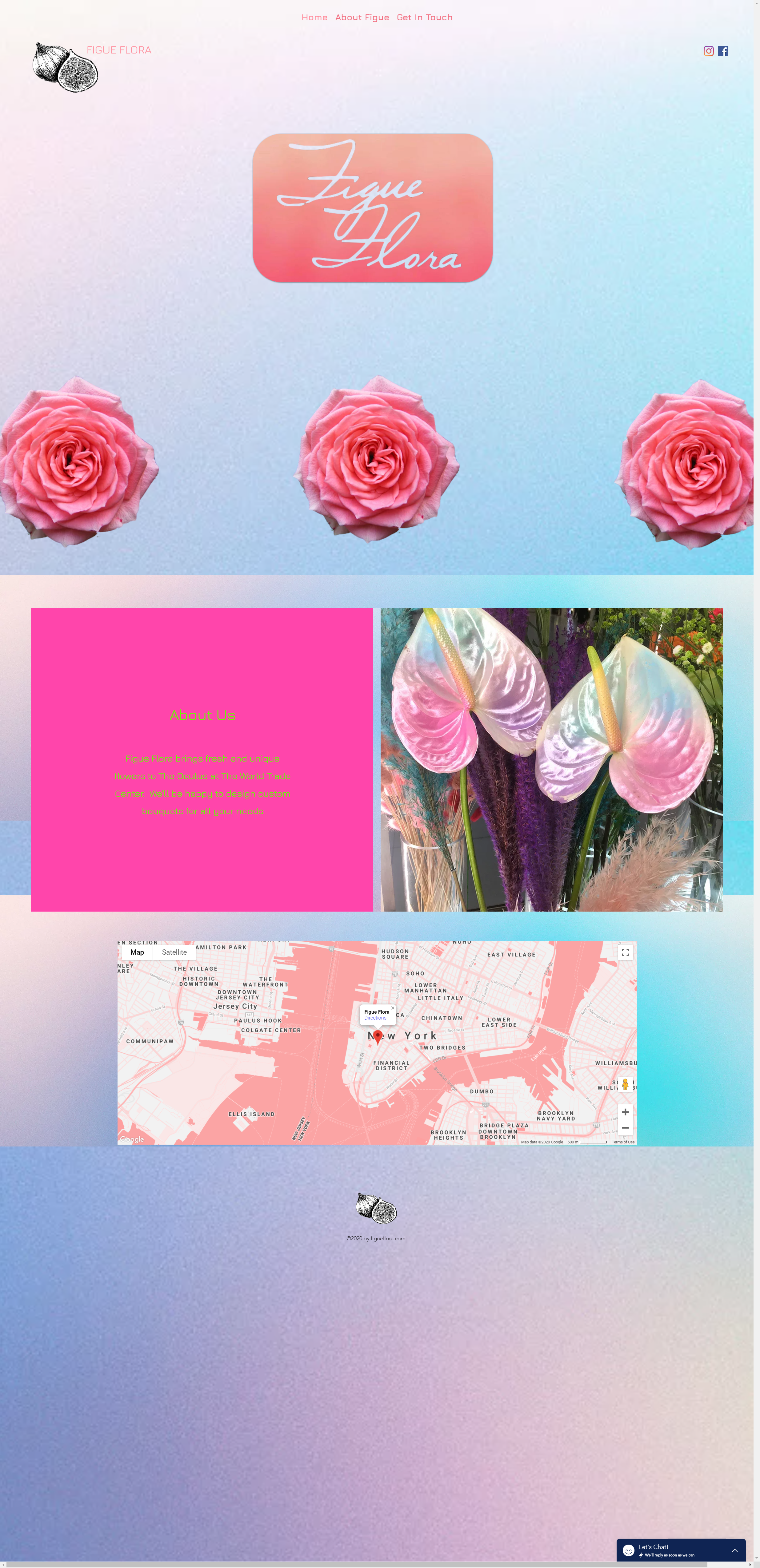 www.figueflora.com_.png