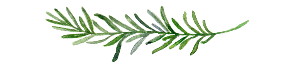 Screen Shot 2018-01-20 at 1.23.53 PM.png