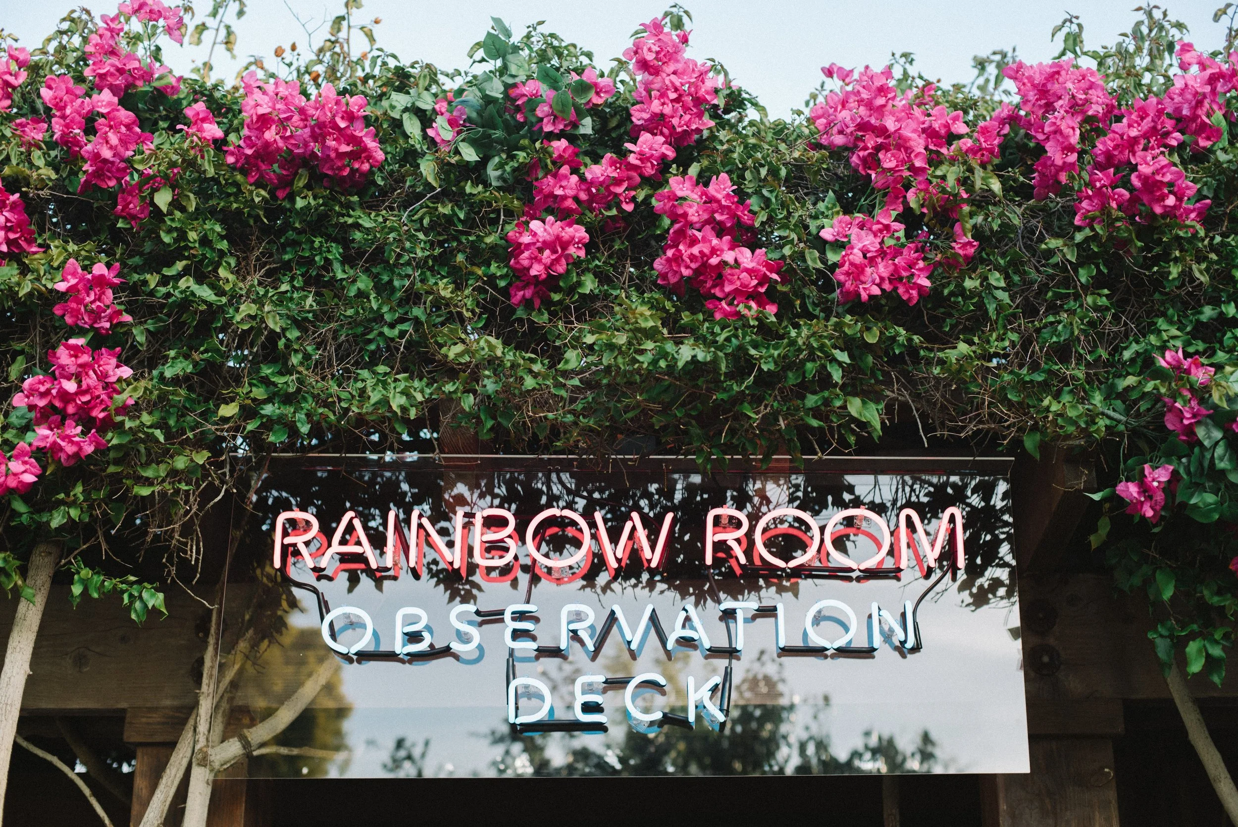 Sutton's Bat Mitzvah