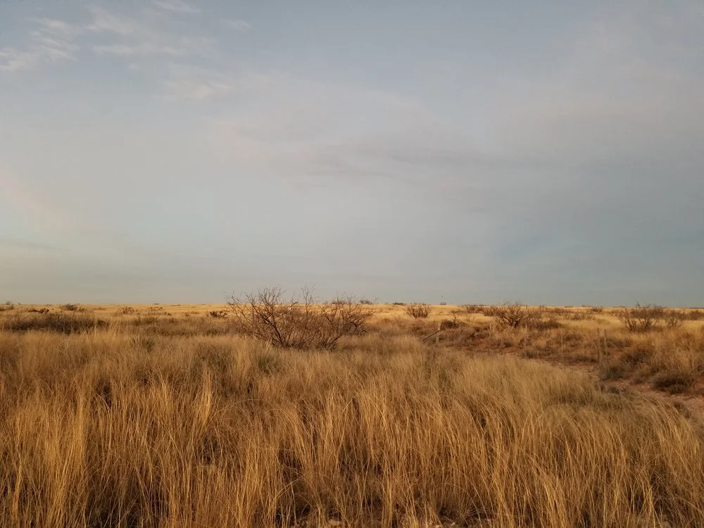 Day 1: Drive to Carlsbad, New Mexico