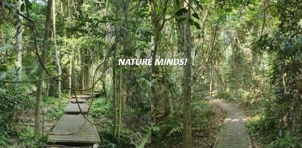 My new Documentary: »Kaleidoscope of Rainforest Conservation«