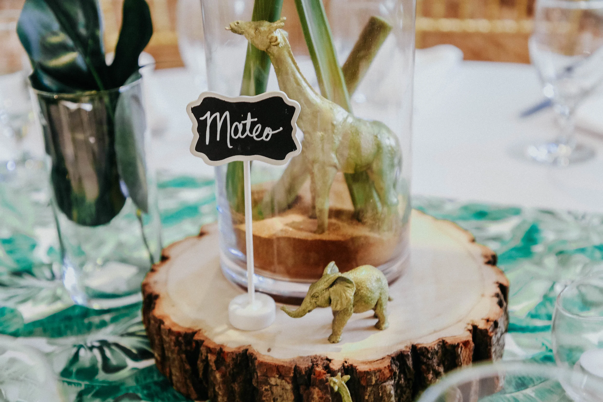 JUNGLE AND GREEN BABY SHOWER (25).jpg