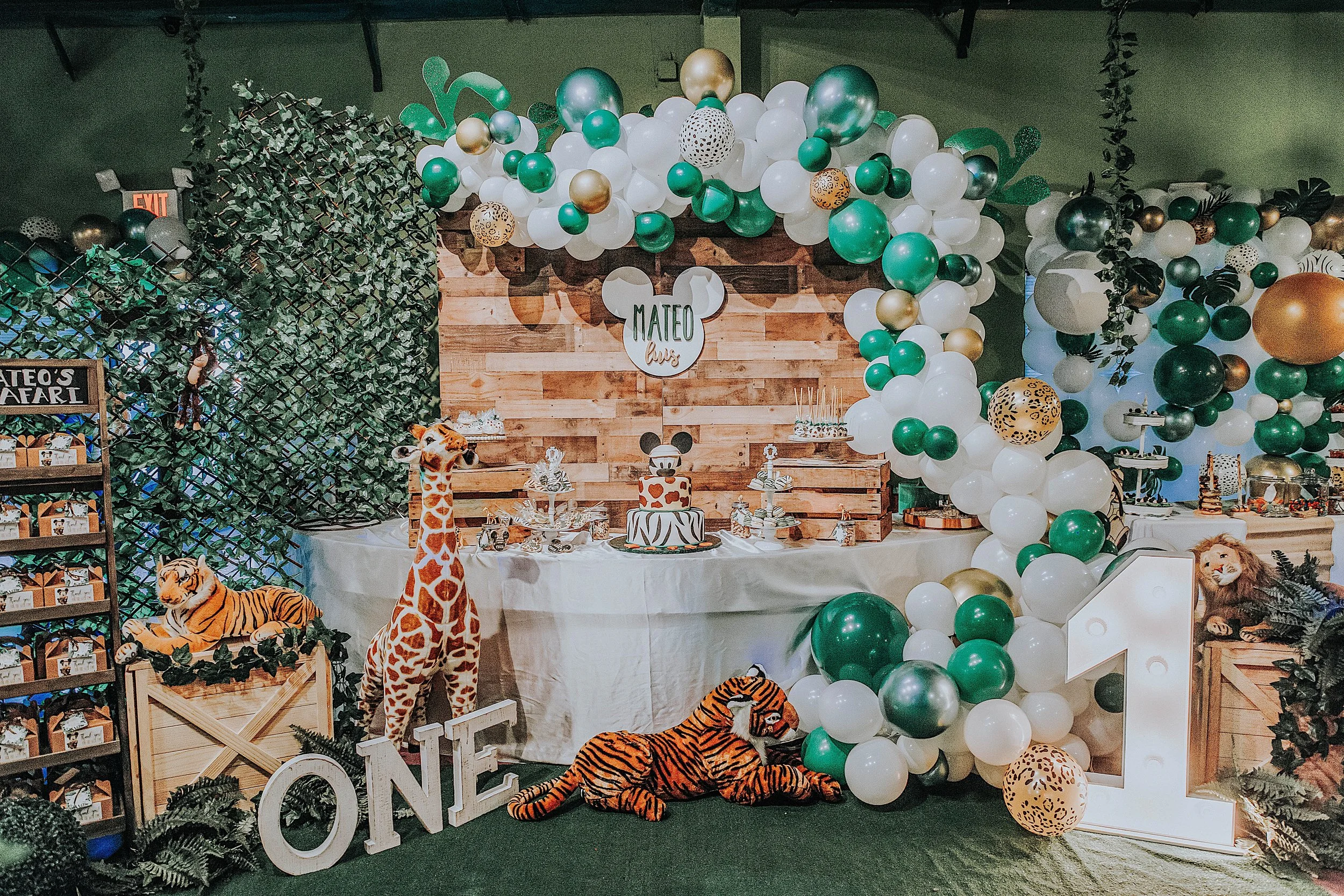 Mateo's Mickey Safari Birthday Party