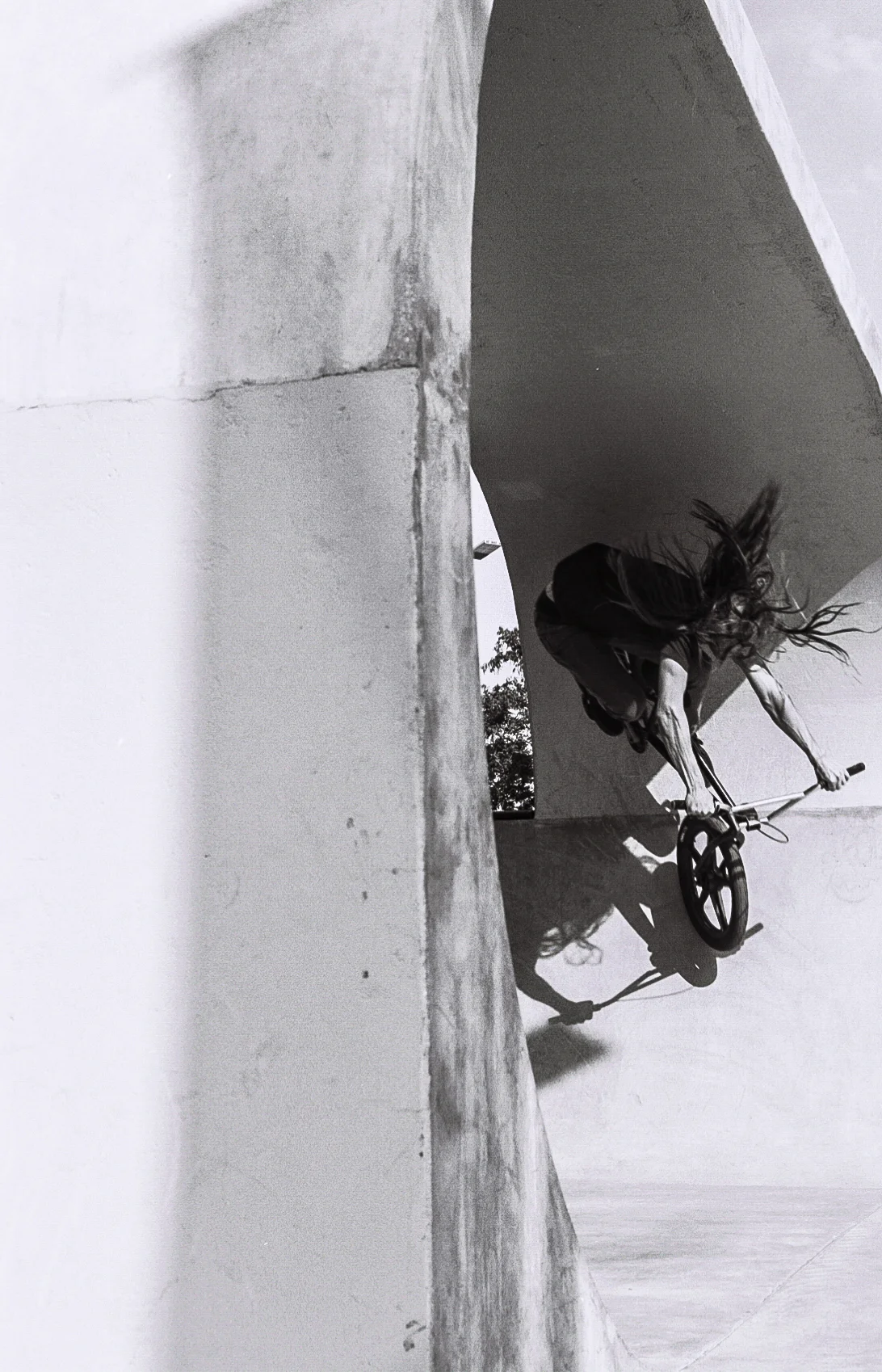 Clint Z carve-1.jpg