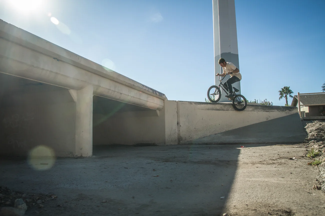 dylan feeb az-1.jpg