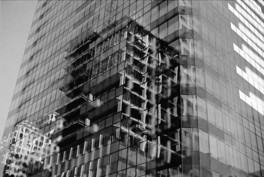 Developed Quarantine_Infelise-1.jpg